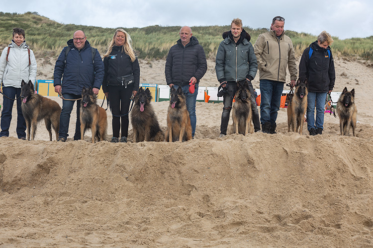  wandeling zoutelande